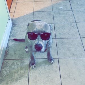 Meet your Posher, Andy